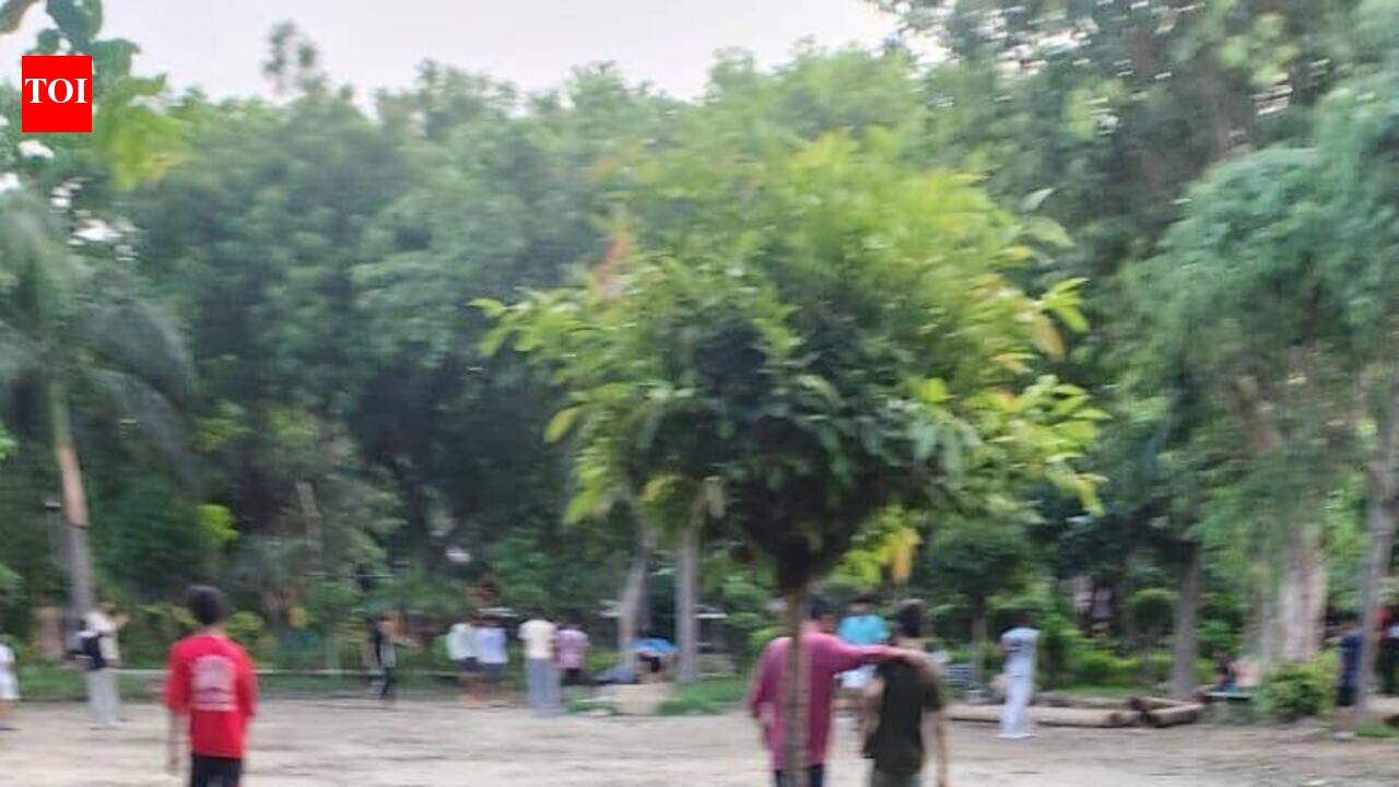 Broken benches to uncut grass: Parks lie in a shambles in Shalimar Garden