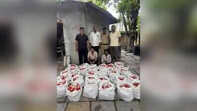 Ahmedabad: Two held as cops uncover liquor stash in luxury bus