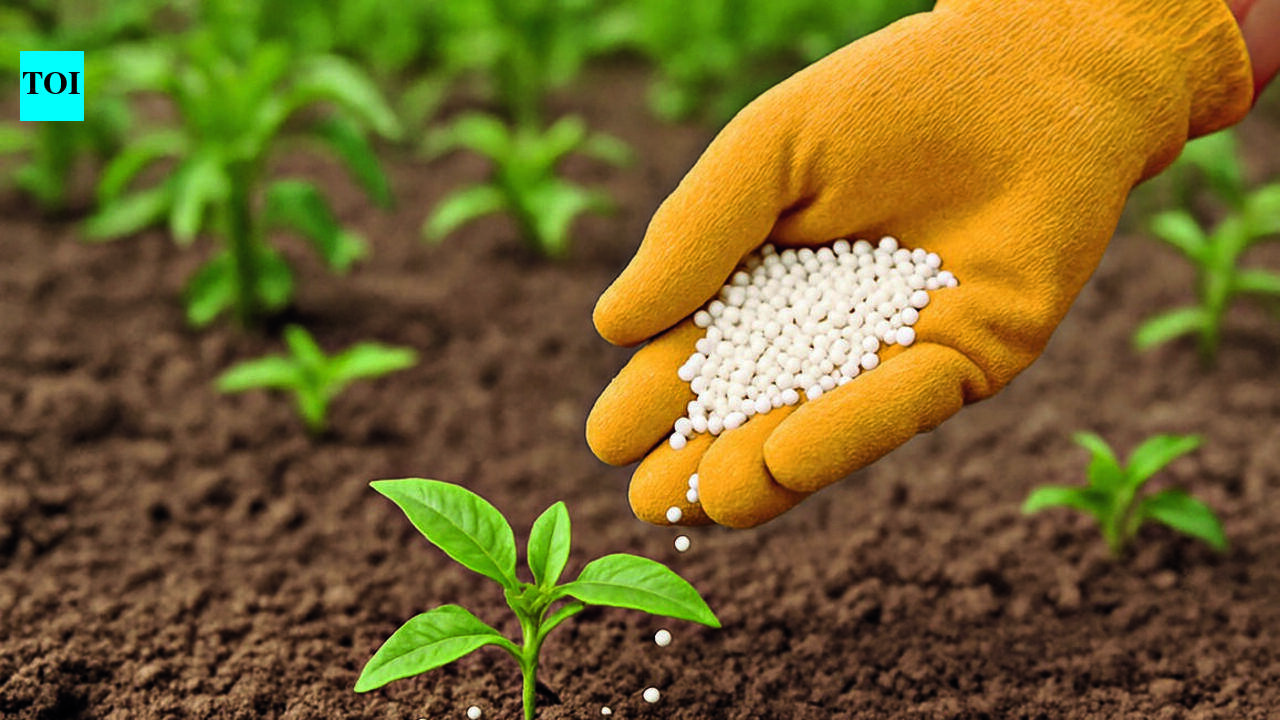 2 held for attempt to sell subsidized fertilizer at commercial rate