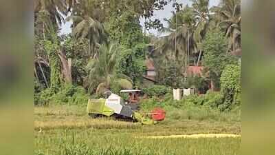 Ex-sarpanch unites farmers, secures govt support to revive forgotten paddy fields in Parcem
