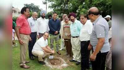 Sector 10 residents put down roots for greener Chandigarh