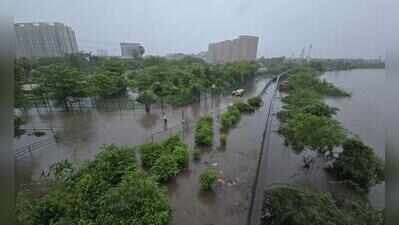 Flood misery persists in south Gujarat