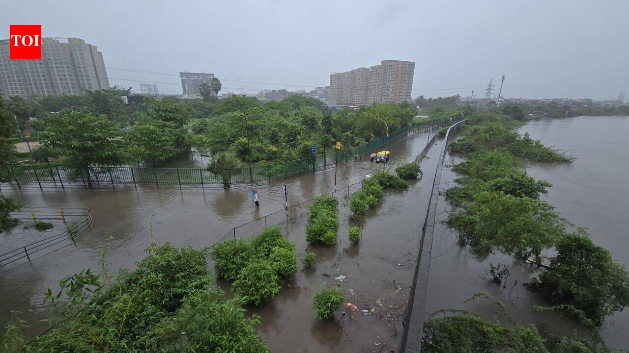 Flood misery persists in south Gujarat