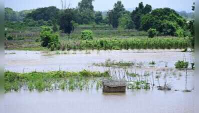 Floodwaters recede, damage assessment begins