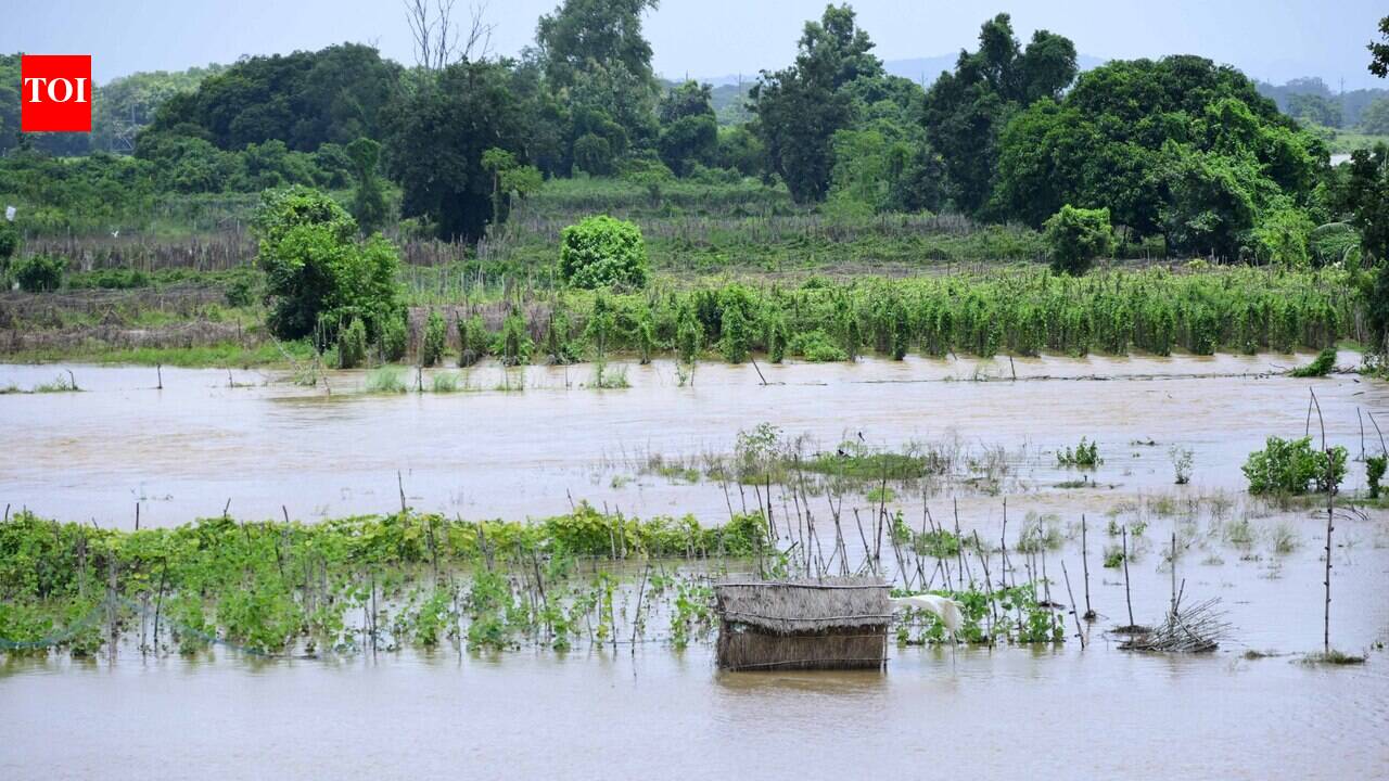 Floodwaters recede, damage assessment begins