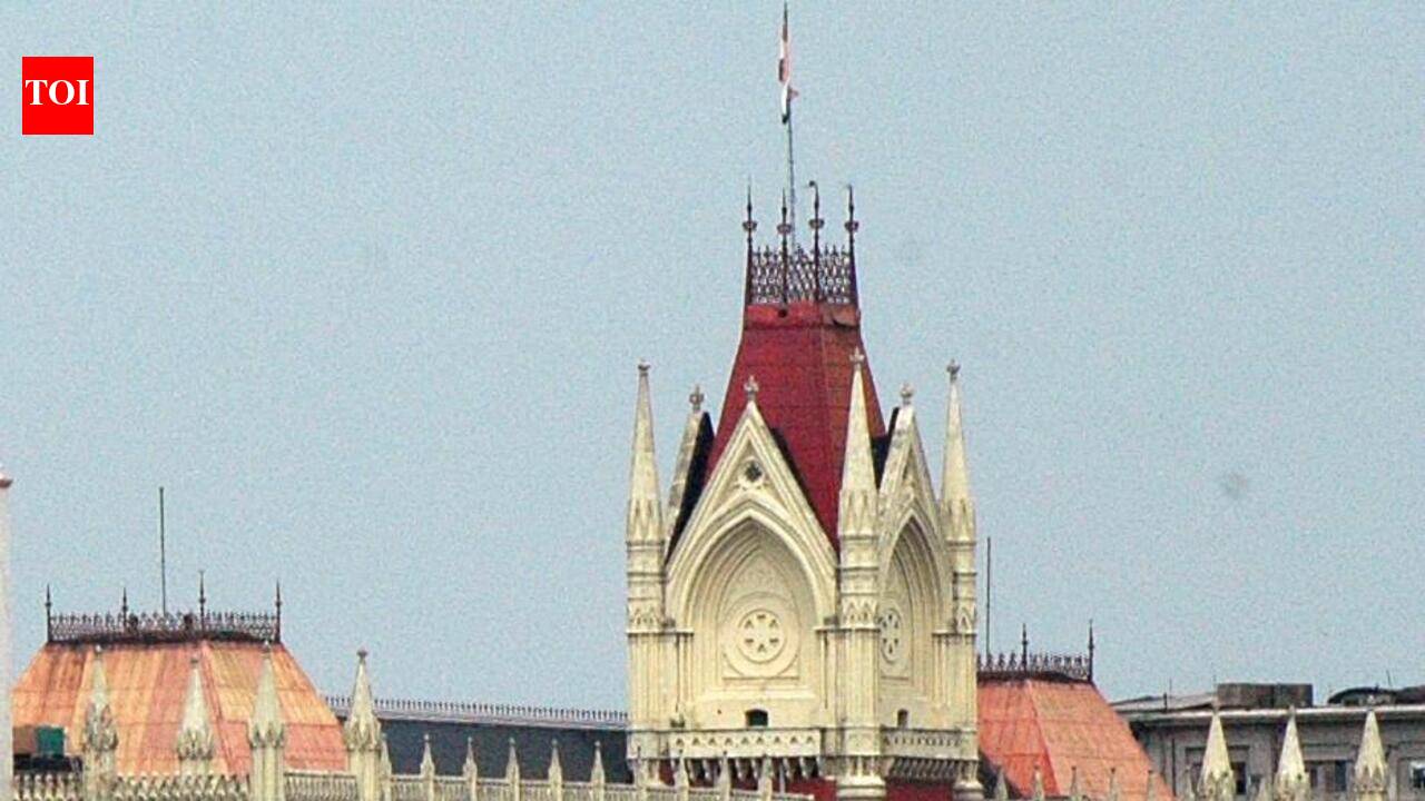 Foreigners, too, have right to prove their cases: HC to Centre, state