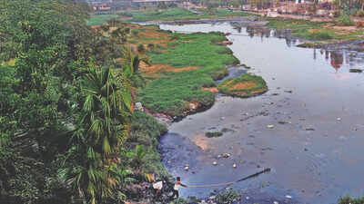 'ISIS drug’ to heart medicines, Musi carries India’s heaviest pharma pollution load