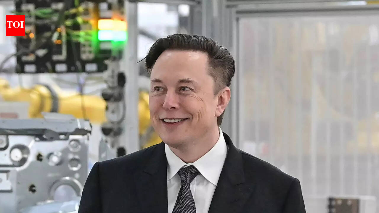 Top economist Steve Hanke does not agree with Elon Musk on ‘free AI’, calls it ‘disconnect from reality’
