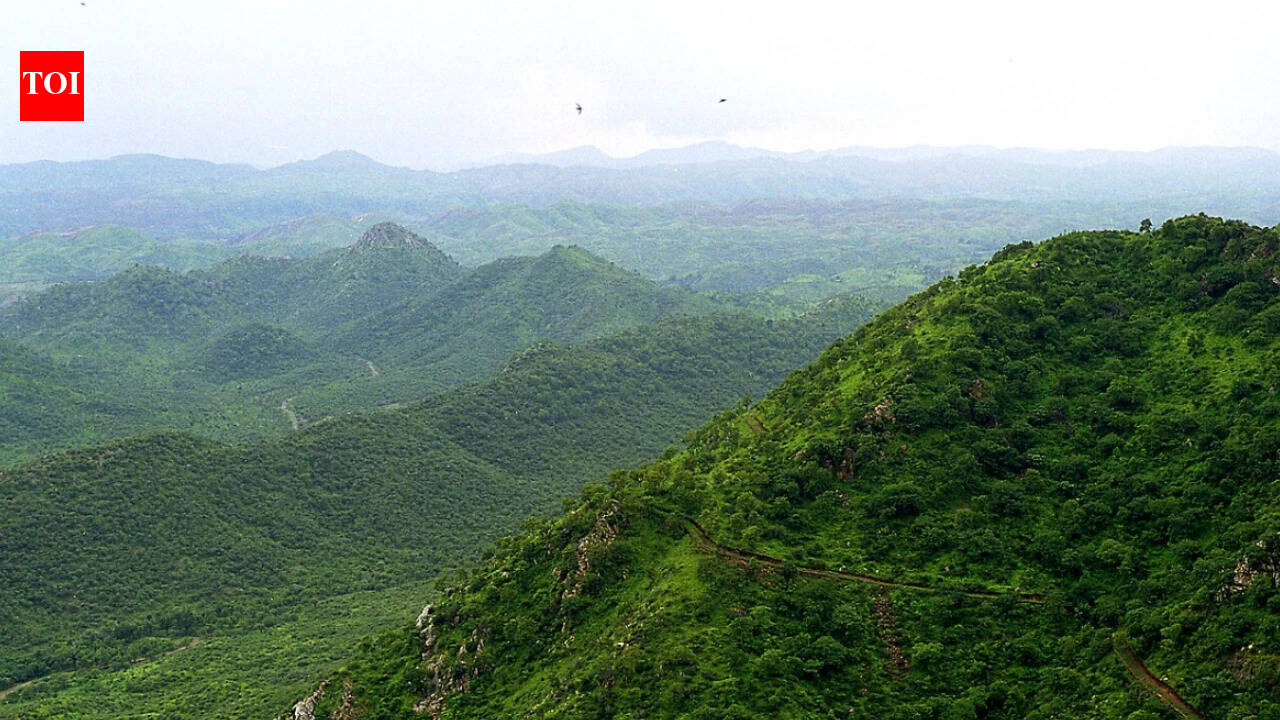 SC panel to start survey for report on what makes Aravalis