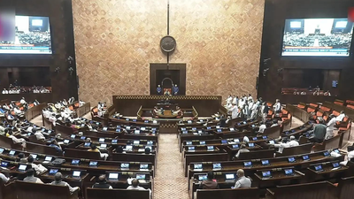 Political discourse must uphold democratic responsibility