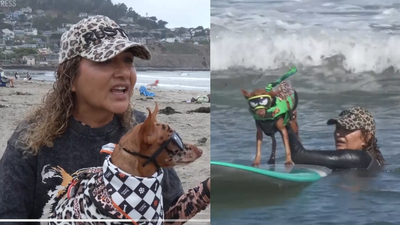 ​From cancer survivors to surfing stars: California woman and her dog beat cancer before competing together at the World Dog Surfing Championships