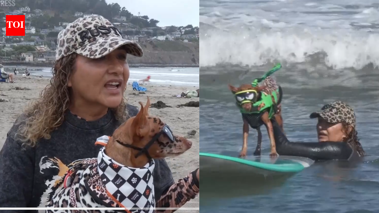 ​From cancer survivors to surfing stars: California woman and her dog beat cancer before competing together at the World Dog Surfing Championships