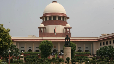 Live-in partners can seek protection under Section 498A, says Supreme Court