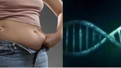 This one protein prevents muscle from turning to fats