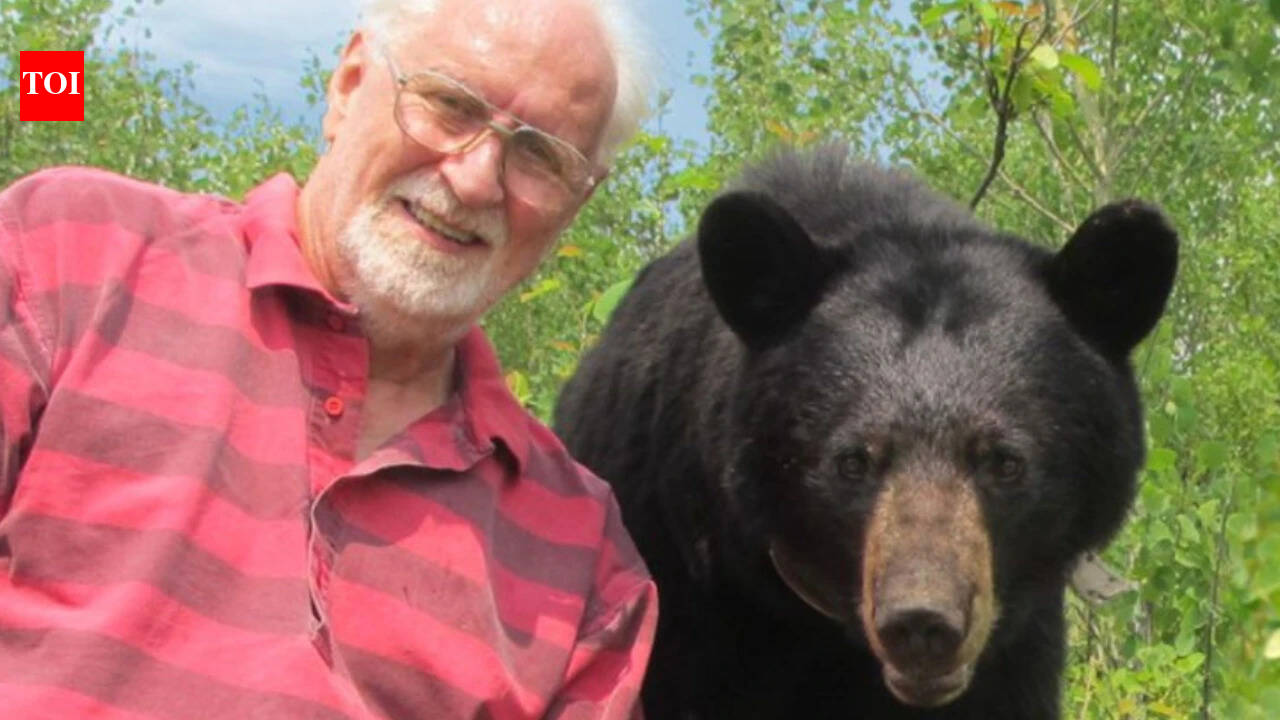 A Minnesota scientist spent decades earning the trust of wild black bears until they let him walk beside them