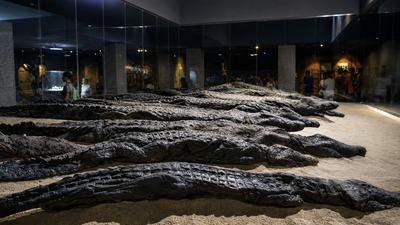 Ancient Egyptians mummified thousands of crocodiles at Kom Ombo. Modern DNA has finally revealed where the sacred reptiles came from