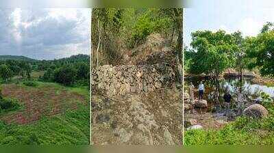 Medininagar forest division completes ridge-to-valley watershed project