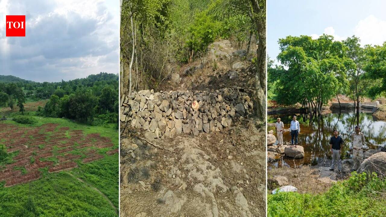 Medininagar forest division completes ridge-to-valley watershed project