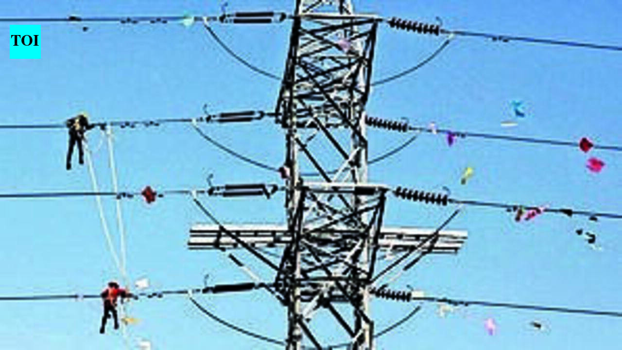 Torrent Power Q1 net profit drops 11�spite higher revenue
