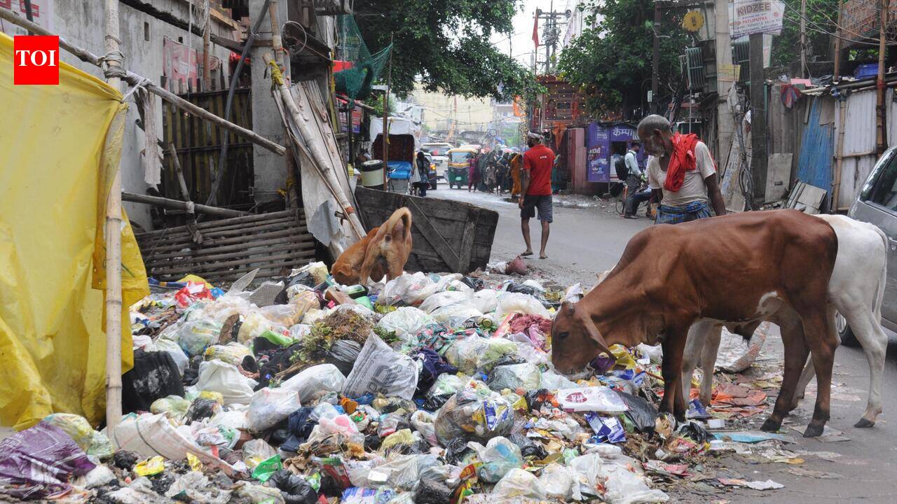 Rain worsens garbage disposal crisis amid sanitation workers’ strike in Patna