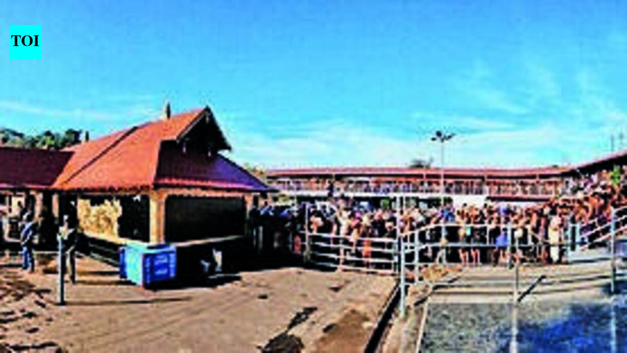 Kerala HC orders vigilance probe into misappropriation of Milma ghee at Sabarimala