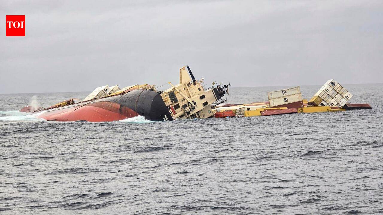 Ship capsize: Kerala HC allows two more Elsa 3 crew members to return home