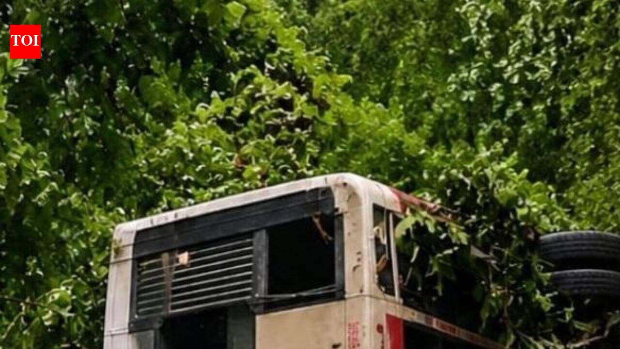 Woman killed, several injured as KSRTC bus plunges into gorge