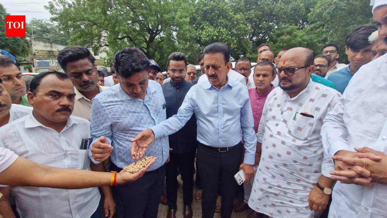 Crops on over 50k hectares damaged in Jalgaon dist, 78,000 farmers affected