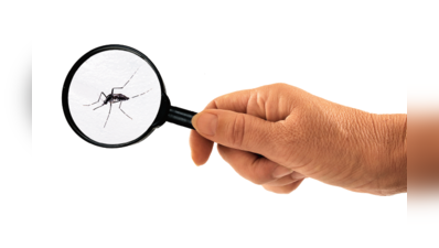 Malaria, dengue cases more than doubled in July in Mumbai; leptospirosis, gastro spike