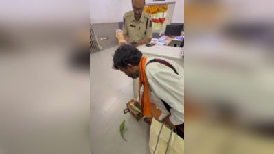Parakeet with clipped wings rescued from fortune-telling trap near OU