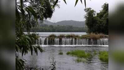 Mhaisal dam overflows after long delay; first late-season brim since 2009
