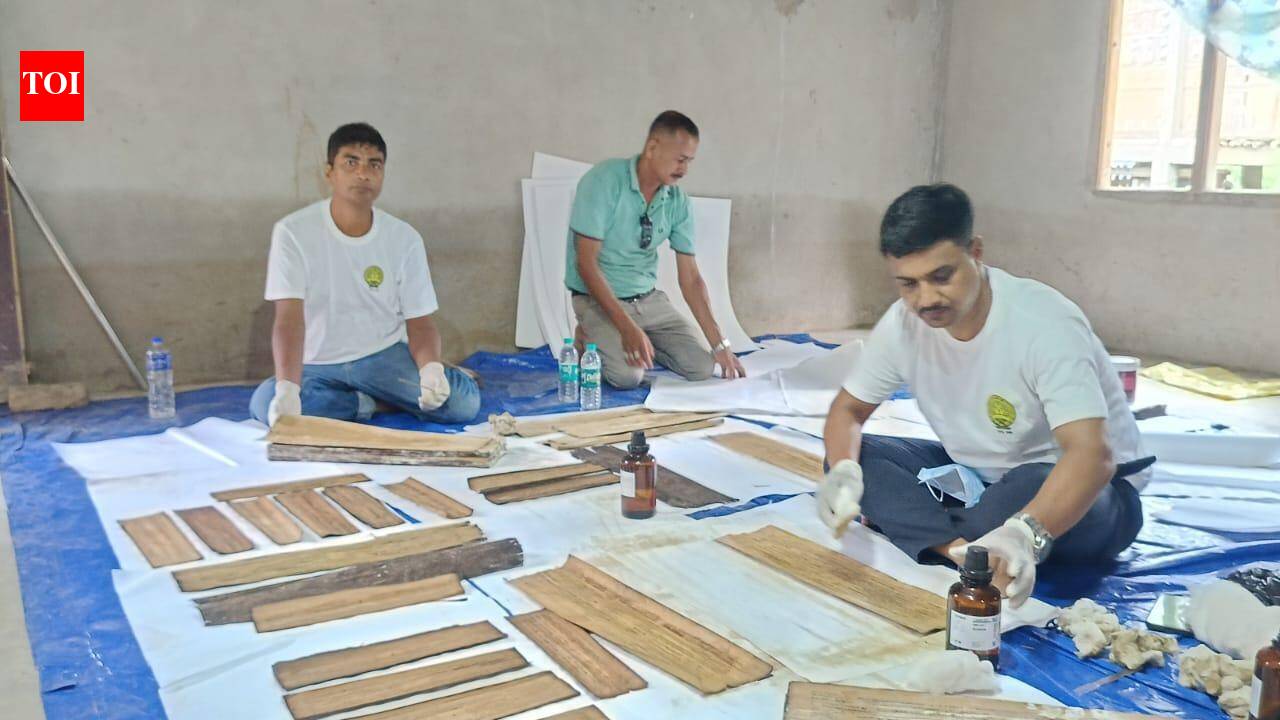Experts in desperate race to save Assam's 300-yr-old sacred past from flood & fungus