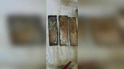 Experts in desperate race to save Assam’s 300-yr-old sacred past from flood & fungus