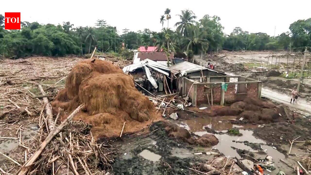 Piggy banks join corporate cheques in paving path to recovery for flood-hit Assam