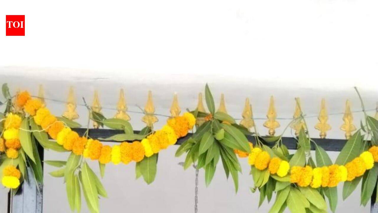 Father builds temple in memory of IIM-A student as suicide probe stalls