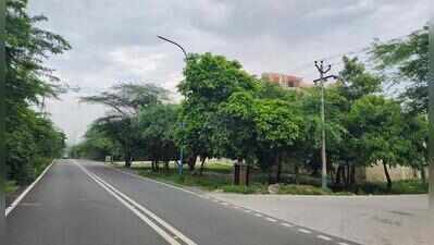 32 years on, HSVP pays Rs 52 crore for colonies on forest land