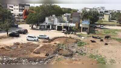 32 years on, HSVP pays Rs 52 crore for colonies on forest land