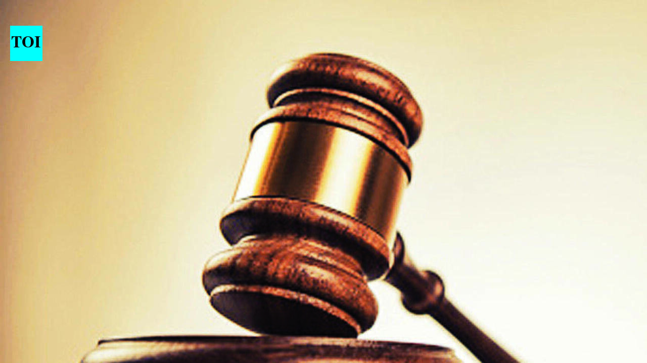 HC flags high-tension power lines over 4,000 UP schools; UPPCL MD impleaded