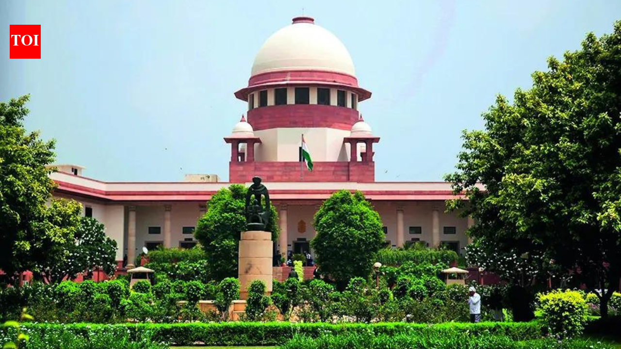 SC expands ambit of Sec 498A to cover cruelty in live-ins too