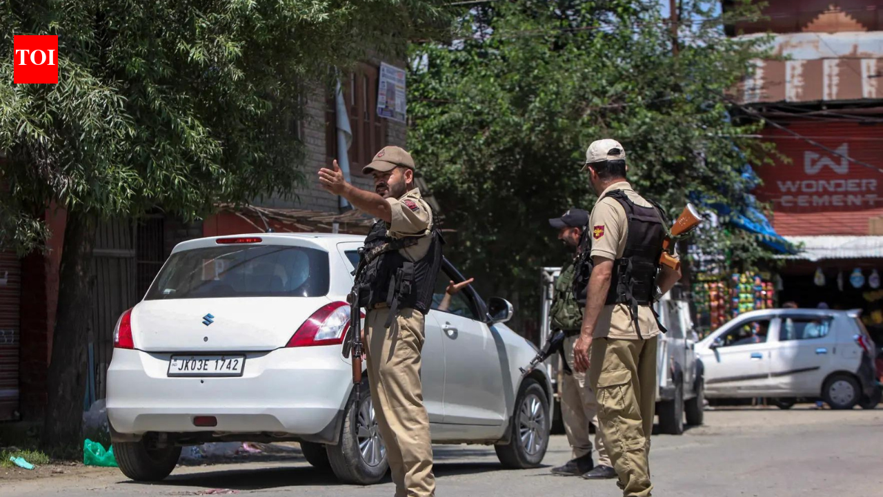 J&K: Days after Kulgam terror attack, man with grenade held in Pulwama