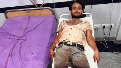 Cow smuggler injured in encounter with Nuh police; 3 cattle, firearm seized