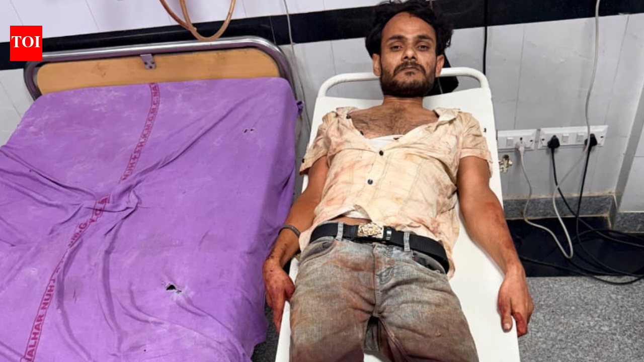 Cow smuggler injured in encounter with Nuh police; 3 cattle, firearm seized