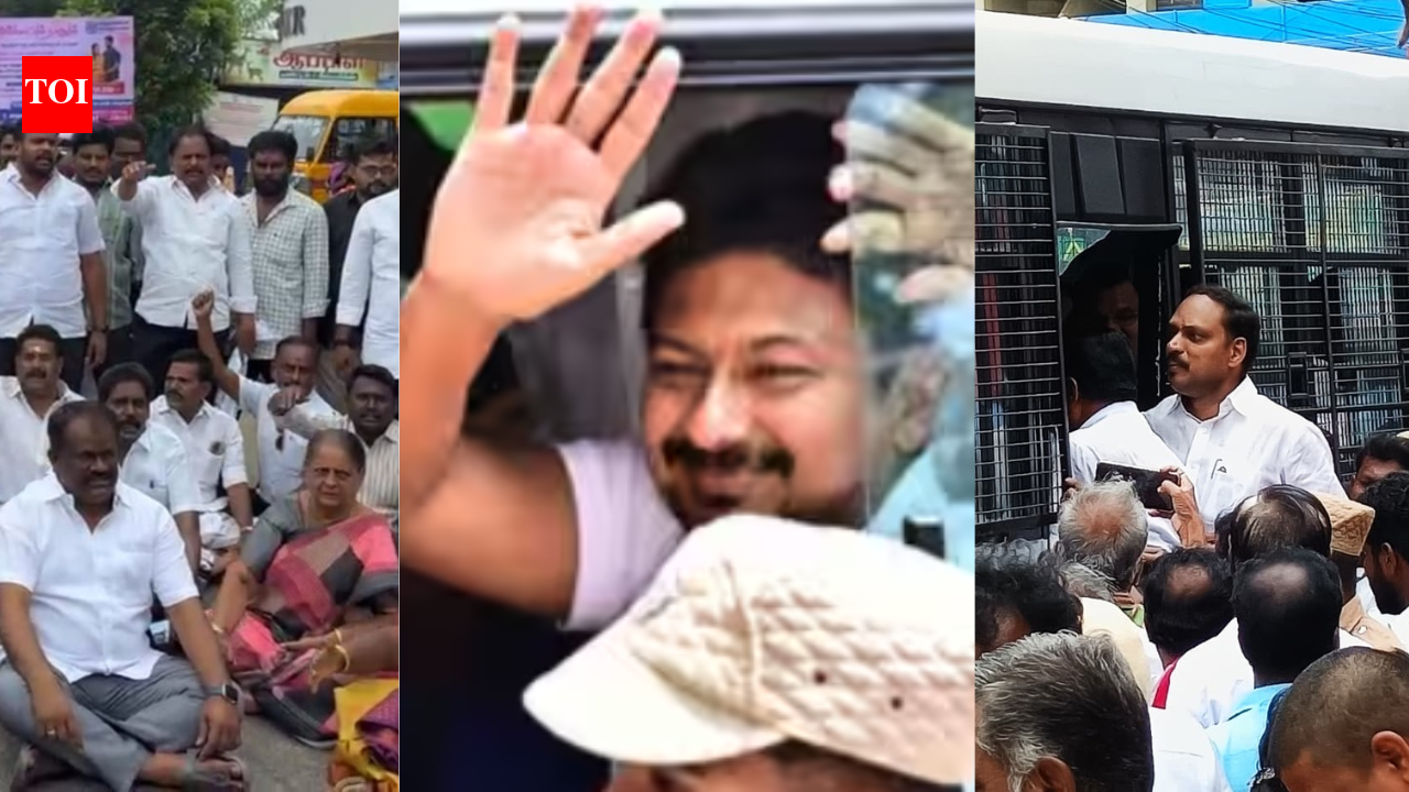DMK workers protest Udhayanidhi Stalin's detention, Pudukkottai MLA among those detained