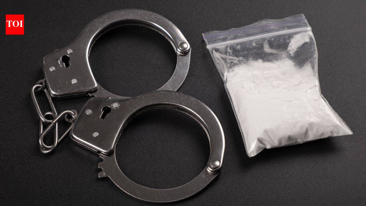 California border X-rays uncover 1,002lb cocaine beneath truck floor