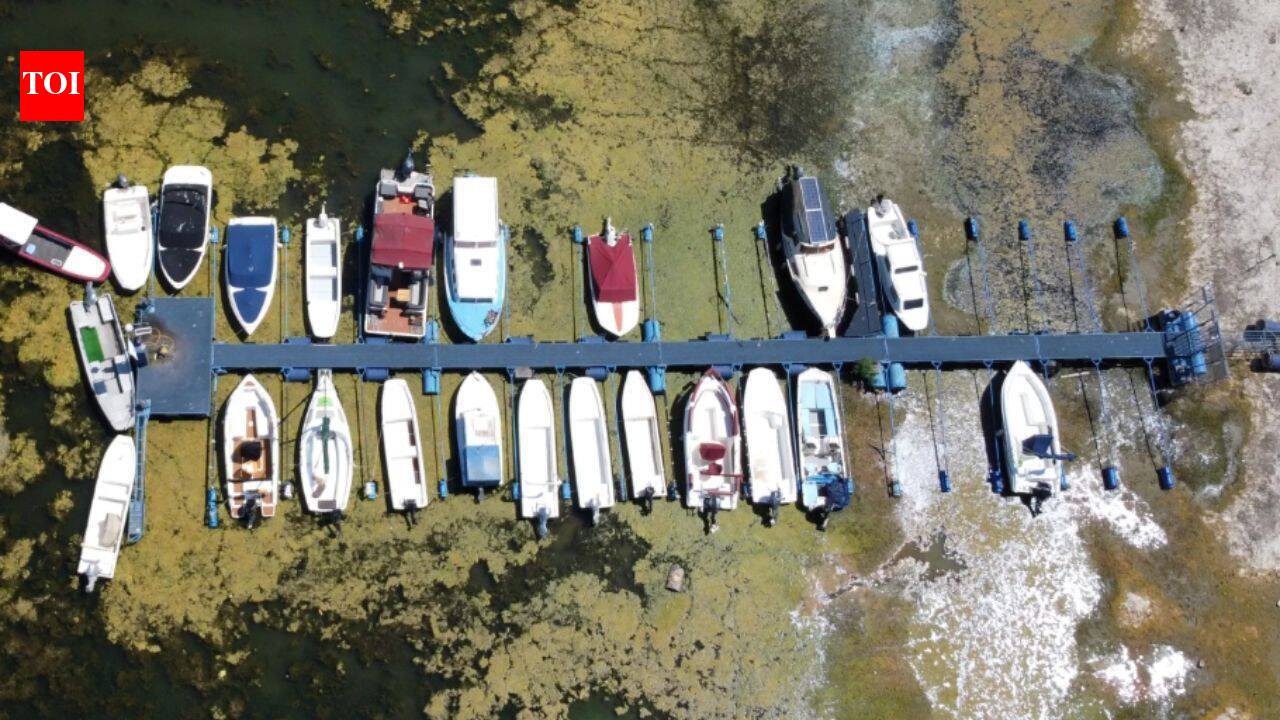 Europe's shrinking rivers have hit shipping, power and tourism