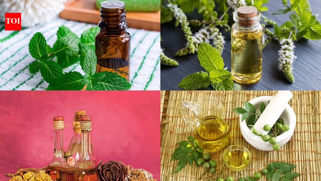 6 DIY mosquito repellents that actually work at home