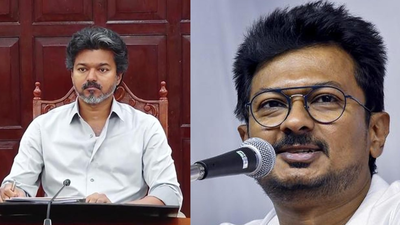Objectionable remark row: No intention to remand Udhayanidhi Stalin, TN govt tells Madras high court