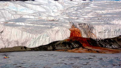 Hidden beneath Antarctic ice, a red brine pool contains marine microbial DNA, supporting evidence of an ancient seawater reservoir trapped beneath the McMurdo Dry Valleys