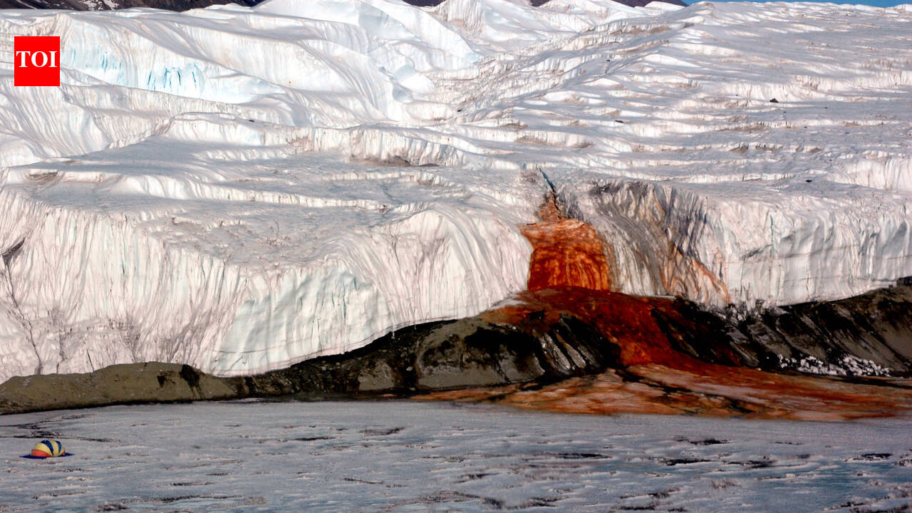 A 'hidden' world under Antarctic ice: Scientists find ancient life trapped in a secret reservoir