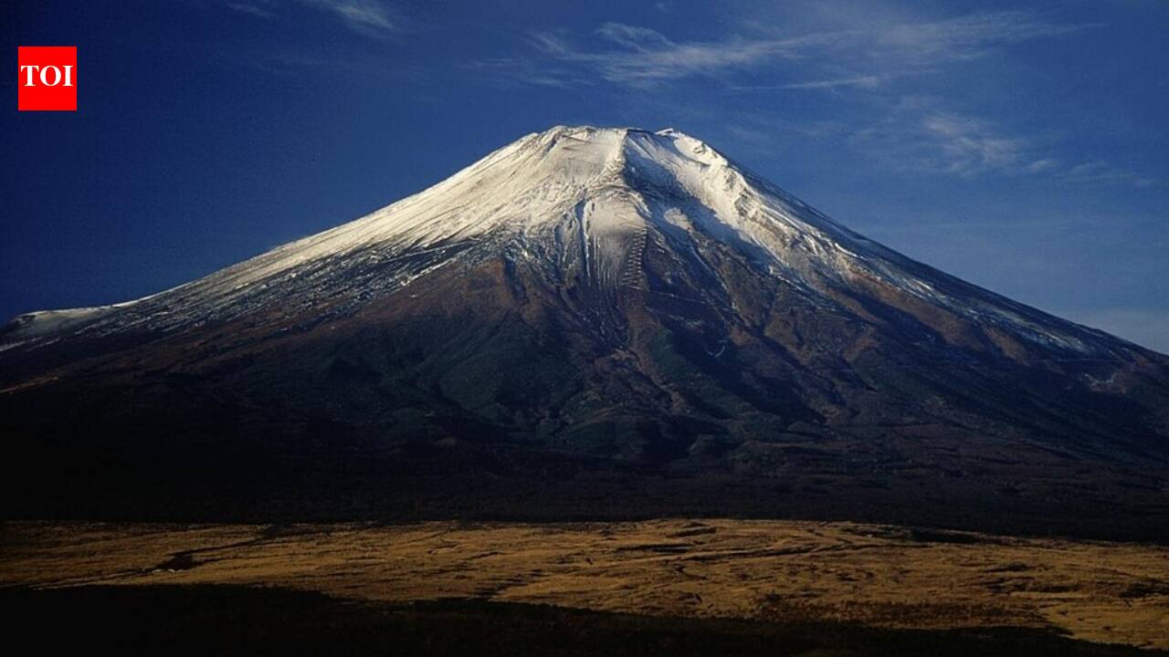 The Spiritual Womb of Mount Fuji: A Journey Through the Funatsu Tainai Lava Tree Mold